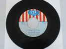 THE CHERRY SLUSH I CANNOT STOP YOU 45 RARE MICHIGAN GARAGE PSYCH FUZZ USA 895