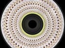 Dua Lipa: Radical Optimism #/5000 Blood Records Zoetrope Pic Vinyl LP PRESALE