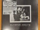 Malfunkshun Olympus Awaits RSD 2024 2LP Purple Vinyl #'d 1,500 Mother Love Bone