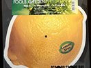 FOOLS GARDEN 