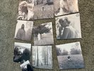 Taylor Swift - Folklore (Complete Vinyl Set in 8 Color Variants) Sealed w Bonus