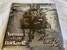 Lana Del Rey-Norman Fucking Rockwell  Urban Outfitters Exclusive Cover & Pink LP