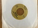 Randy & The Rainbows- Denise 7