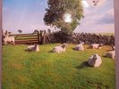 THE KLF - Chill Out Vinyl LP JAMSLP5 1990