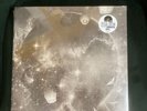 Trashcan Sinatras - Wild Pendulum - RSD Silver Vinyl - NEW