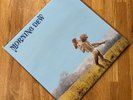 MORNING DEW - Morning Dew lp NM/NM 150g Italian Analogue re-press PSYCH PRISTINE