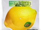 FOOLS GARDEN - LEMON TREE RSD 2024