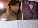 John Cougar Mellencamp Vinyl Albums, American Fool & Uh-Huh, Clean