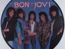 BON JOVI Slippery When Wet MERCURY LP VG+ picture disc n