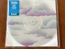 Maisie Peters The Good Witch Deluxe 12” Vinyl Picture Disc RECORD STORE DAY 2024
