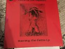 Fields Of The Nephilim - Burning the Fields 2 LP Set RSD 2024 NEW & SEALED