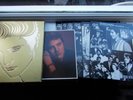 ELVIS PRESLEY 6 LP BOX SET A GOLDEN CELEBRATION 50 TH ANNIVERSARY + SINGLE RCA