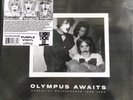 rare MALFUNKSHUN Olympus Awaits SEALED Vinyl 2xLP  RSD 2024 pre MOTHER LOVE BONE