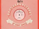 The Flirts Passion (Special R.E.M.I.X.E.D. Disco Version) Vinyl Single 12inch