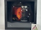 ALICE IN CHAINS Jars of Flies Limited Edition Box Set Tri Colored Vinyl In Hand