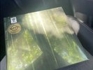 The Paper Kites EVERGREEN 2024 Record Store Day Exclusive Vinyl Limited