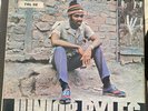 Beat Down Babylon by Junior Byles (Record, 1974/5)