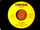 Sean and The Sheas  Hi Diddle/Come To The Party  Michigan Garage 1966 Yorkshire