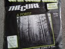THE CURE A FOREST  - RARE ORIG GERMAN PRESS FICTION 12