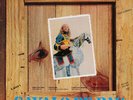 Alceu Valença - Cavalo De Pau (LP, Album) (Very Good Plus (VG+))