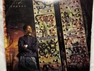 LP Vinyl Special Ed Youngest In Charge 1989 Promo