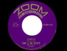 DOOWOP/NORTHERN SOUL-TONY AND THE VELVETS-SUNDAY/WHY-ZOOM 9606