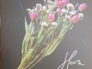 Her's - Invitation To Her's, LP, (Vinyl)