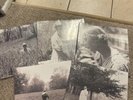 Taylor Swift Folklore Vinyl Bundle - Lullabies, Running, Hide, Weeds, Garden