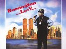 Barrington Levy - Love The Life You Live, LP, (Vinyl)