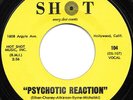 Count Five - Psychotic Reaction, 7