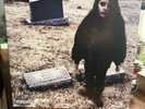 Crystal Castles - II (2010) Vinyl (Album/LP/Record) 2xLP