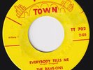 RAVE-ONS Everybody Tells Me RARE SCORCHING garage 45 Jesters Of Newport ish HEAR