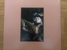 HAYLEY WILLIAMS Petals for Armor/Flowers for Vases 3LP+Booklet LMT EDT.(Color)