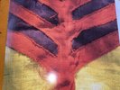 YEAH YEAH YEAHS Show Your Bones LP 2006 US Interscope RARE Vg/Vg+