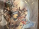IRON MAIDEN -The Trooper- Very Rare 1983 Shaped Picture Disc (Vinyl Record)