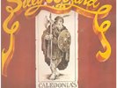 Silly Wizard Caledonias Hardy Sons NEAR MINT Highway Vinyl LP