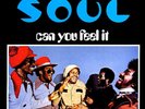 SOUL - Can You Feel It ( VINYL)