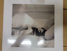 Taylor Swift - The Tortured Poets Department Vinyl 