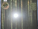 THE PAPER KITES - EVERGREEN LP FOREST GREEN VINYL RSD 2024 BRAND NEW SEALED
