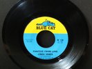 RARE Soul Linda Jones Fugitive From Love / You Hit Me Like T.N.T.  Blue Cat 1966