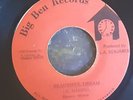 Beautiful Dream - Horace Martin