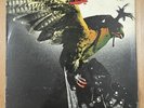 BUDGIE - In For The Kill  - Vinyl LP MCA Records - 1974