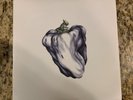 White Pepper by Ween Vinyl Plain Recordings