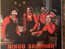 Mingo Saldivar Y Sus Tremendos Cuatro Espadas LP Tejano Tex-Mex Conjunto