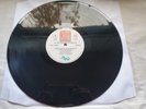 THE DOGS D'AMOUR IN THE DYNAMITE JET SALOON  1988  UK  LP MINT *SIGNED*