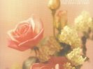 GENESIS P ORRIDGE/THE HAFLER TRIO - Dream Less Suite - Vinyl (limited 2xLP)