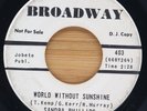 SANDRA PHILLIPS - WORLD WITHOUT SUNSHINE / OKI - SOUL 45 BROADWAY PROMO *HEAR*