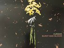 Cursive - Burst And Bloom (Vinyl 12