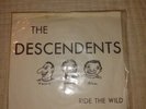 Descendents 