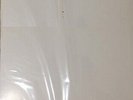 Margot & The Nuclear So And So's Not Animal RTI VINYL 2 LP TEST PRESSING